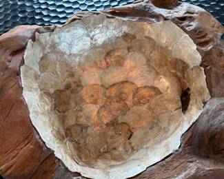 root bowl with Cadiz shell interior 16" x 17" x 7" 