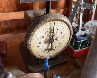American scale