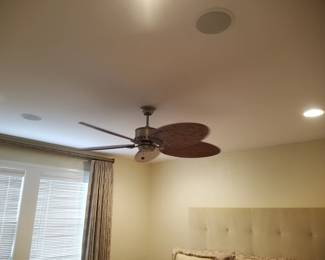 Ceiling fan