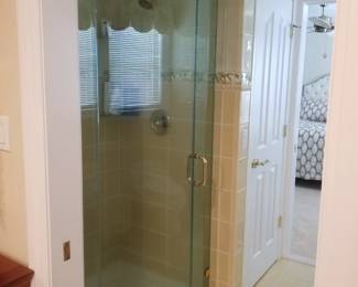 Glass shower door