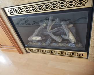 Gas fireplace insert