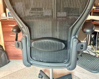 Back View of the Vintage, Fully Adjustable Herman Miller Office Chair