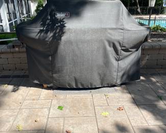 Weber Grill