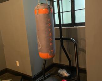 Hanging Punching Bag with Stand and Gloves