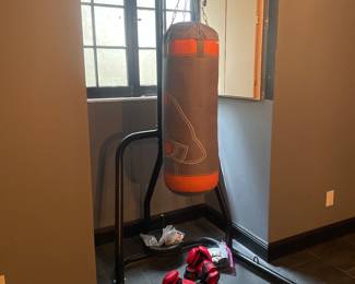 Hanging Punching Bag with Stand and Gloves