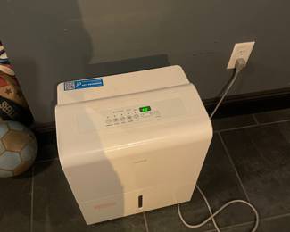 Energy Star Dehumidifier