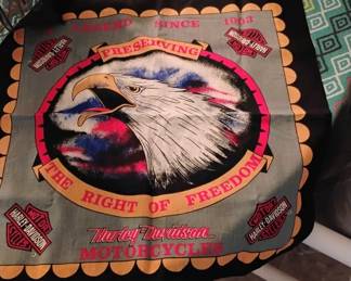 Harley Davidson scarf, shirt and other items