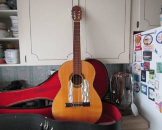 Ariana marked guitar with case