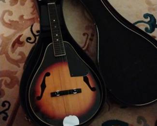 Mandolin 