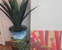 6022 2 Faux Plants Cactus Canvas Print
