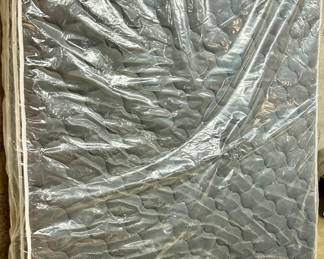 Black Label new Mattress still in packaging $250