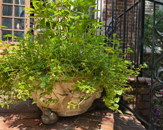 Pair of large round planters