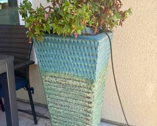 The Potted Plants are to die for!