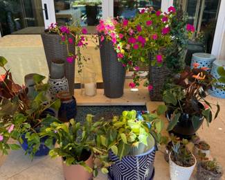 Plants are US!!!