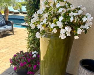 The pots are all gorgeous and the plants in them are equally show stealers!