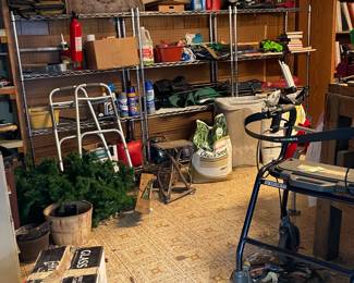 Large Shed Lot