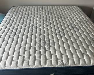King size Bed Tech adjustable base with 12” bamboo mattress