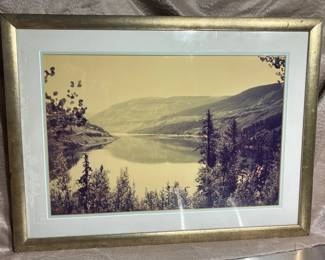 Vintage Framed Nature Photograph
