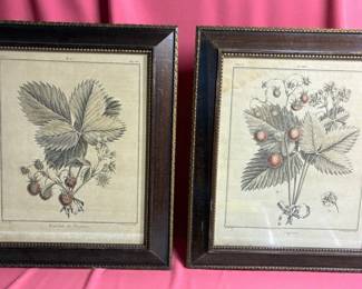 Pair 19thc. Elizabeth Haussard Strawberry Plant Color Engravings