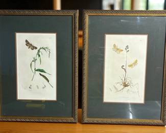 Pair Of 19thc. Butterfly Bookplate Engravings Published By J Curtis
