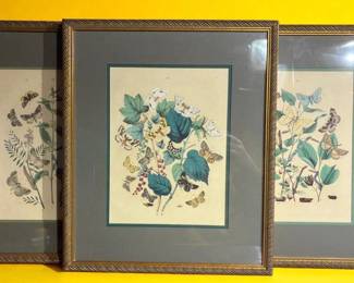 19th Century Bookplate Engravings from European Butterflies and Moths 
