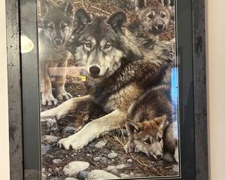 wolf print