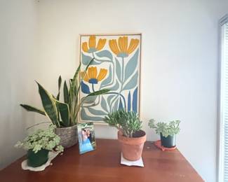 . . . live plants