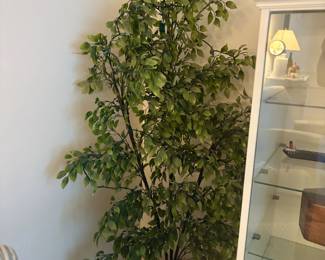 . . . faux ficus