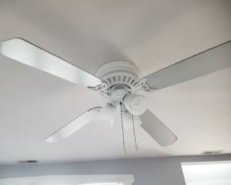 Lighted ceiling fan