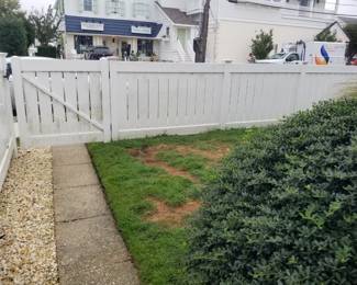 Vinyl fence with gate