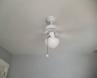Lighted ceiling fan