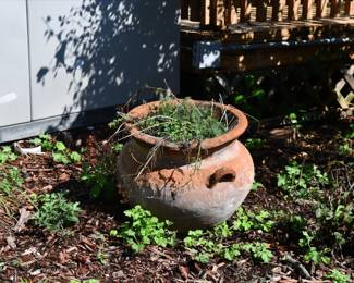 1069Back yard