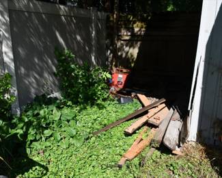 1073Back yard