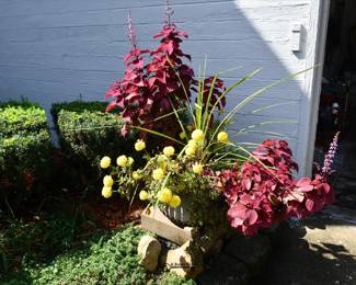 1031Front Yard