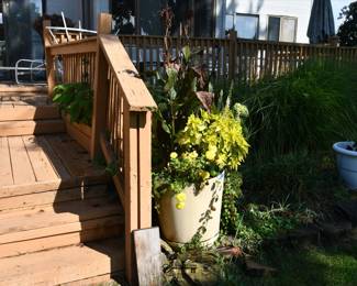 1067Back yard