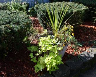 1029Front Yard