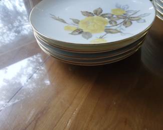 6 plates