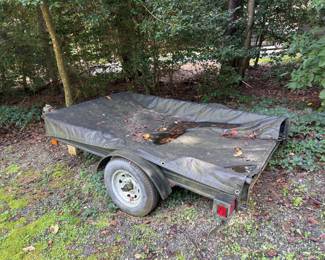 Trailer with hitch (has DE license plate and title)