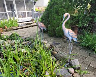 Flamingos