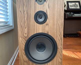 PAIR OF SONY SPEAKERS