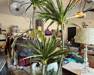 Mirrored Pot with Artificial Palm Tree Decor