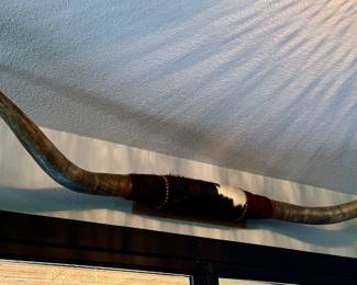 7ft. Longhorns with cowhide center
