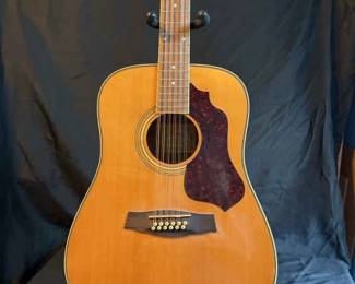 Ibanez 12 String Model SGT1222NT