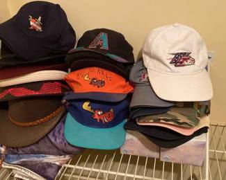 Mens Hats  Bullwinkle  Diamondbacks And More 