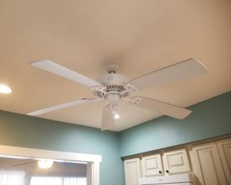 Ceiling fan