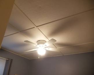 Lighted ceiling fan