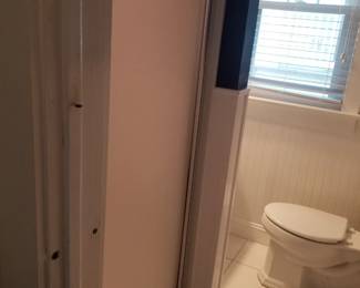 Glass shower door