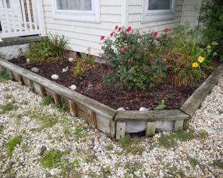 Rose bushes, daylilies & more 