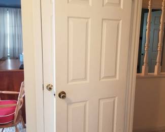 6-panel interior door