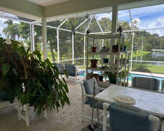 Plants